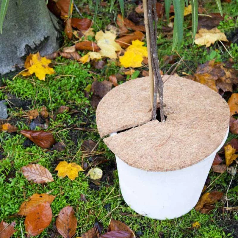 Runde Kokosmatte als Winterschutz für Pflanzen (10mm)