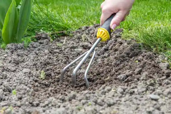 Grubber und Kultivatoren - Gartengeräte für den Boden